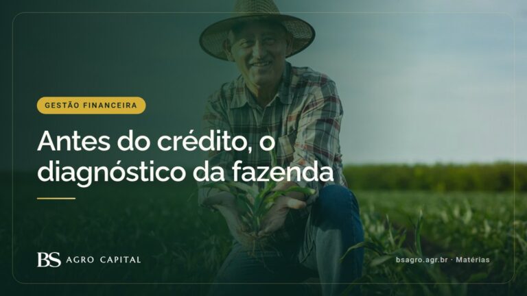 Diagnóstico financeiro da fazenda: o primeiro passo de todo bom crédito